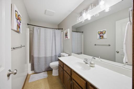 7182 Hidden Valley Pond S, Cottage Grove, MN 55016