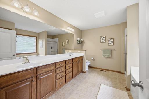 7182 Hidden Valley Pond S, Cottage Grove, MN 55016