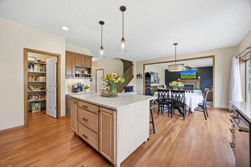 7182 Hidden Valley Pond S, Cottage Grove, MN 55016