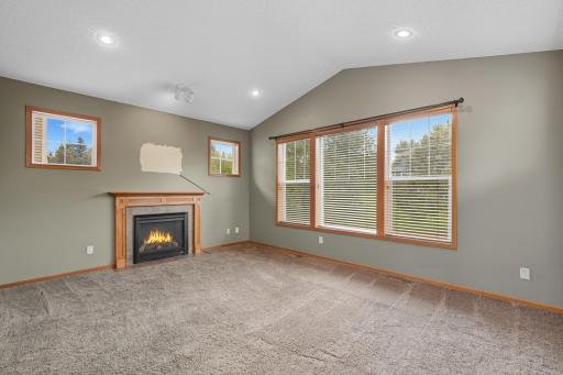11333 Ivywood Trail, Saint Paul, MN 55129