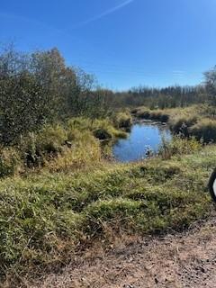Property photo for 0000 Wick Road, Saginaw, MN 55779