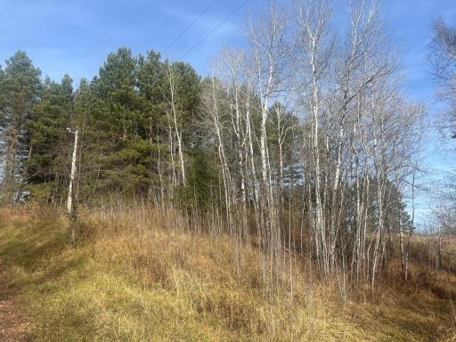 0000 Wick Road, Saginaw, MN 55779