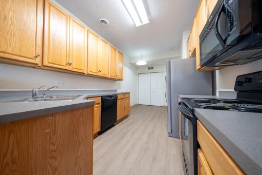 17205 Encina Path, 905, Farmington, MN 55024