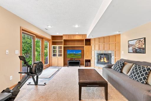 Large lower level family room with fireplace and walkout