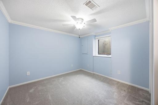 Lower-level bedroom with new carpet!