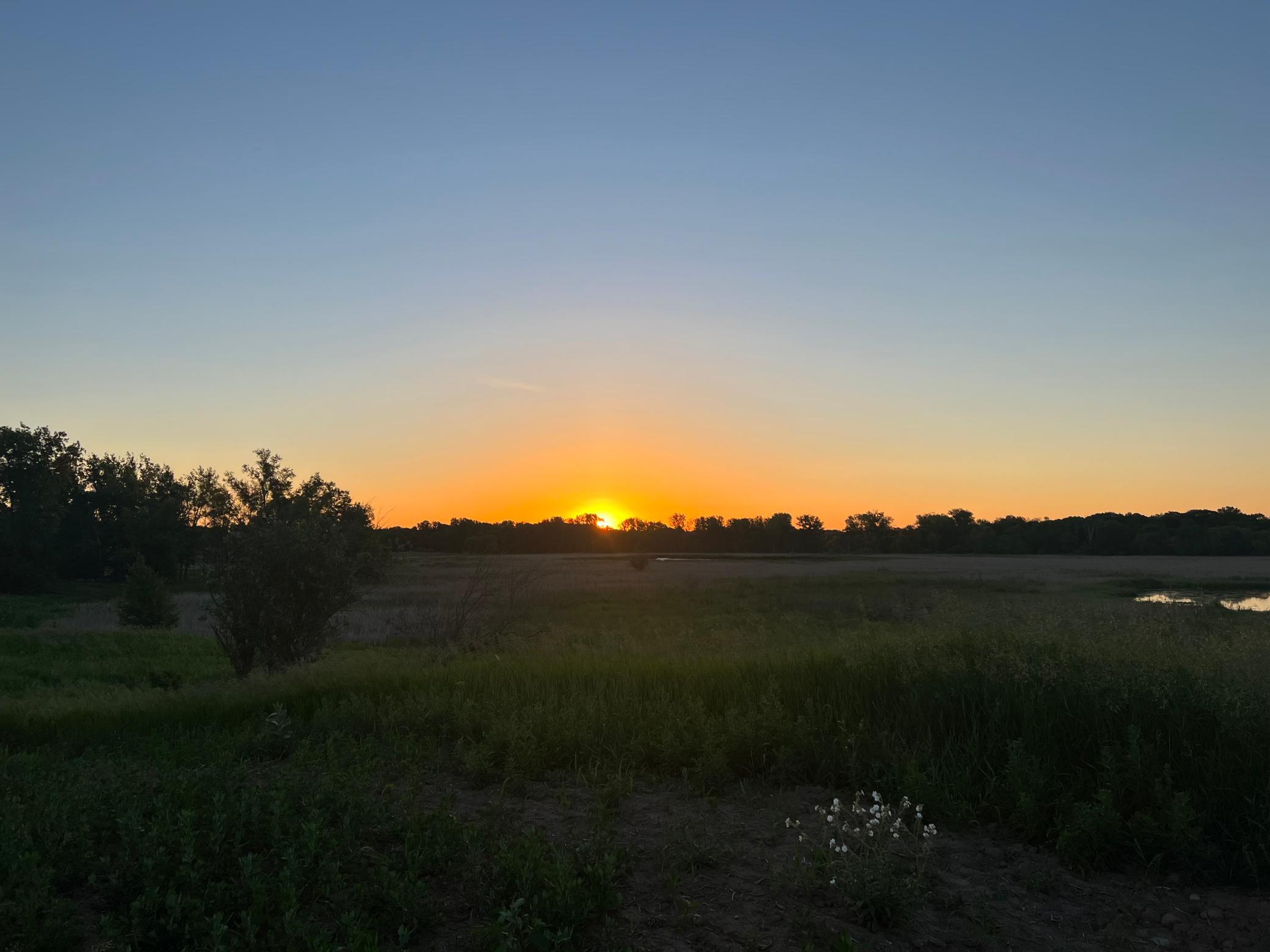 Beautiful Sunrises and Sunsets.jpeg