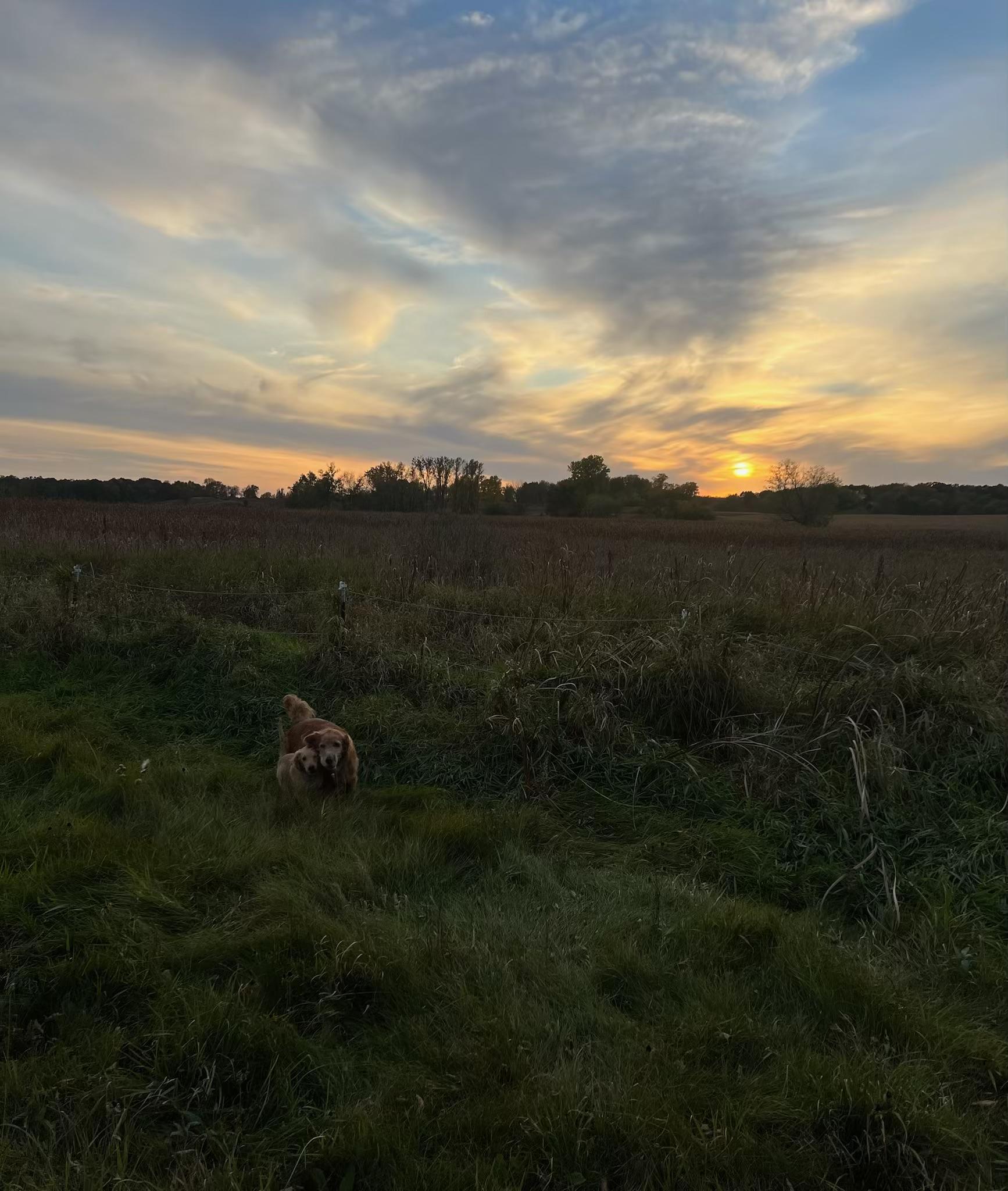 Beautiful Sunrises and Sunsets.jpeg