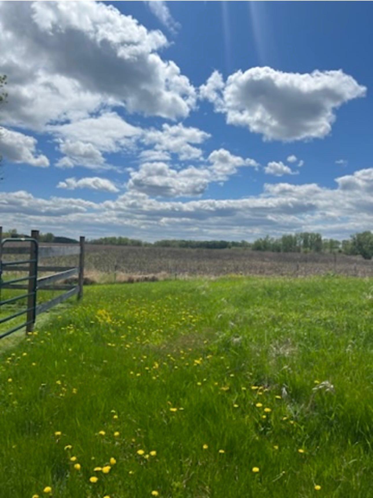 Rolling Fields.jpeg