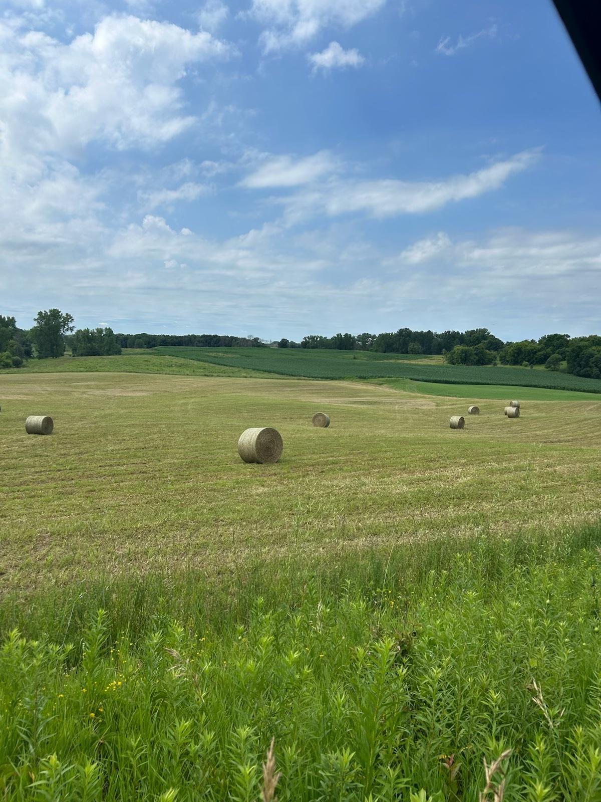 Hay.jpg