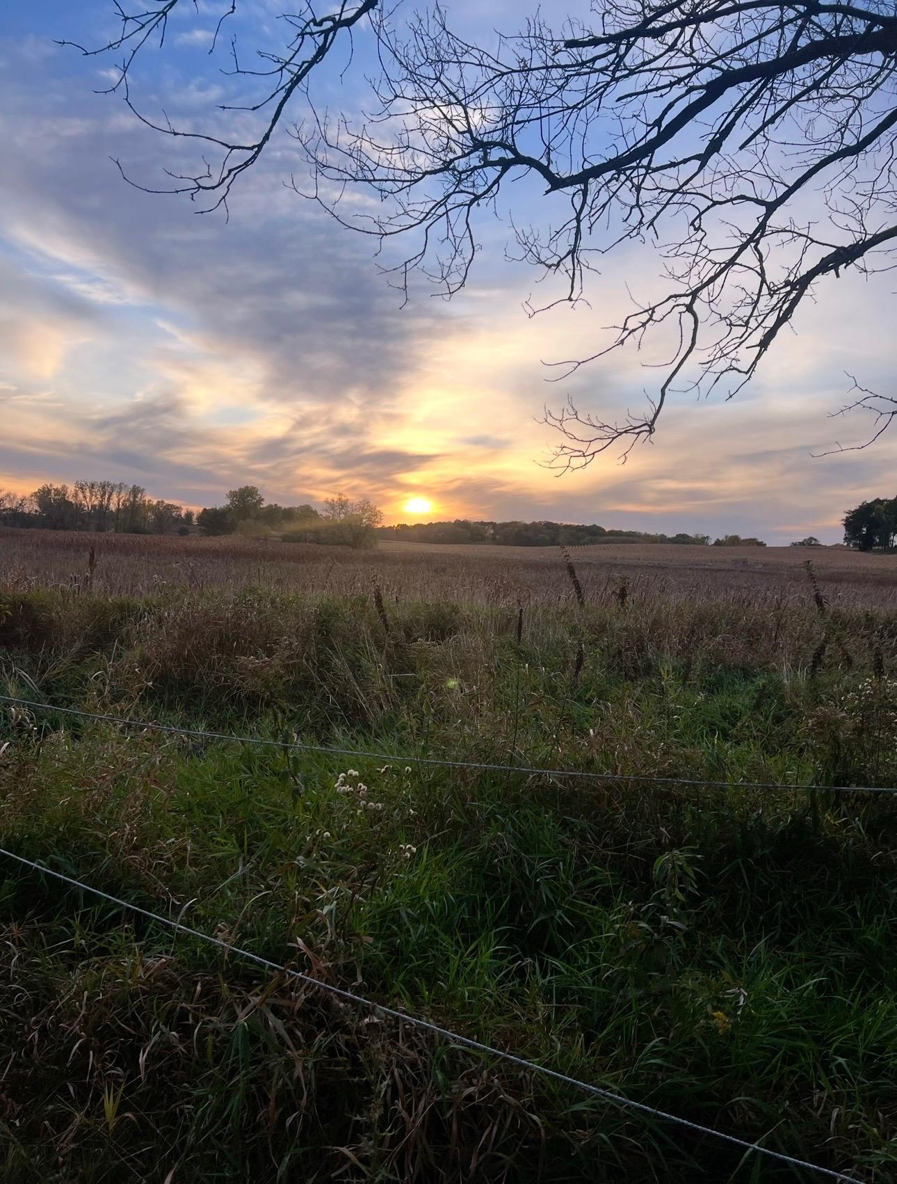 Sunrise.jpeg