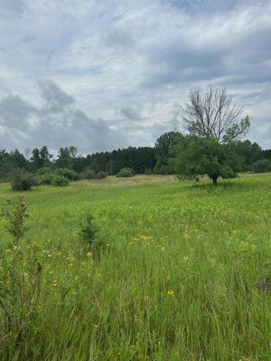 8XXX 200th Street, Forest Lake, MN 55025