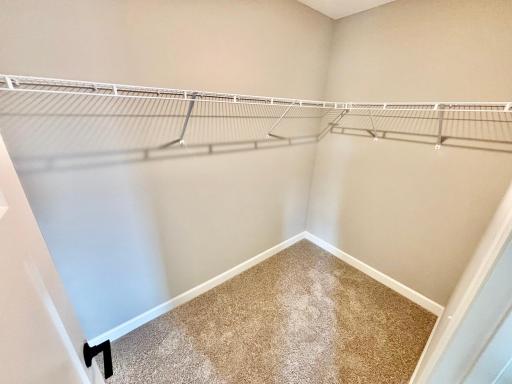 Primary Suite Closet - The Weston at 807 Walnut Grove Lane in Oakview Ridge!