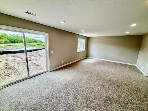Finished Walkout Lower Level - The Weston at 807 Walnut Grove Lane in Oakview Ridge!
