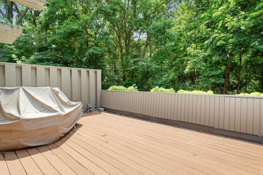 58 Walden Street, Burnsville, MN 55337