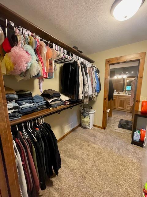 Master Laundry/ Closet