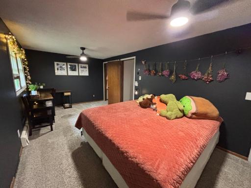 817 Alice Drive, Thief River Falls, MN 56701