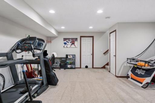 11207 Beechwood Lane, Woodbury, MN 55129