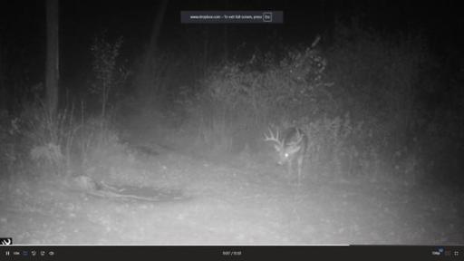 384 Acres TBD Little Pine Road, Emily, MN 56447