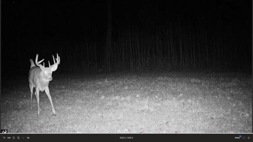 384 Acres TBD Little Pine Road, Emily, MN 56447