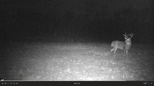 384 Acres TBD Little Pine Road, Emily, MN 56447