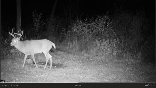 384 Acres TBD Little Pine Road, Emily, MN 56447