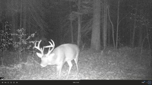 384 Acres TBD Little Pine Road, Emily, MN 56447