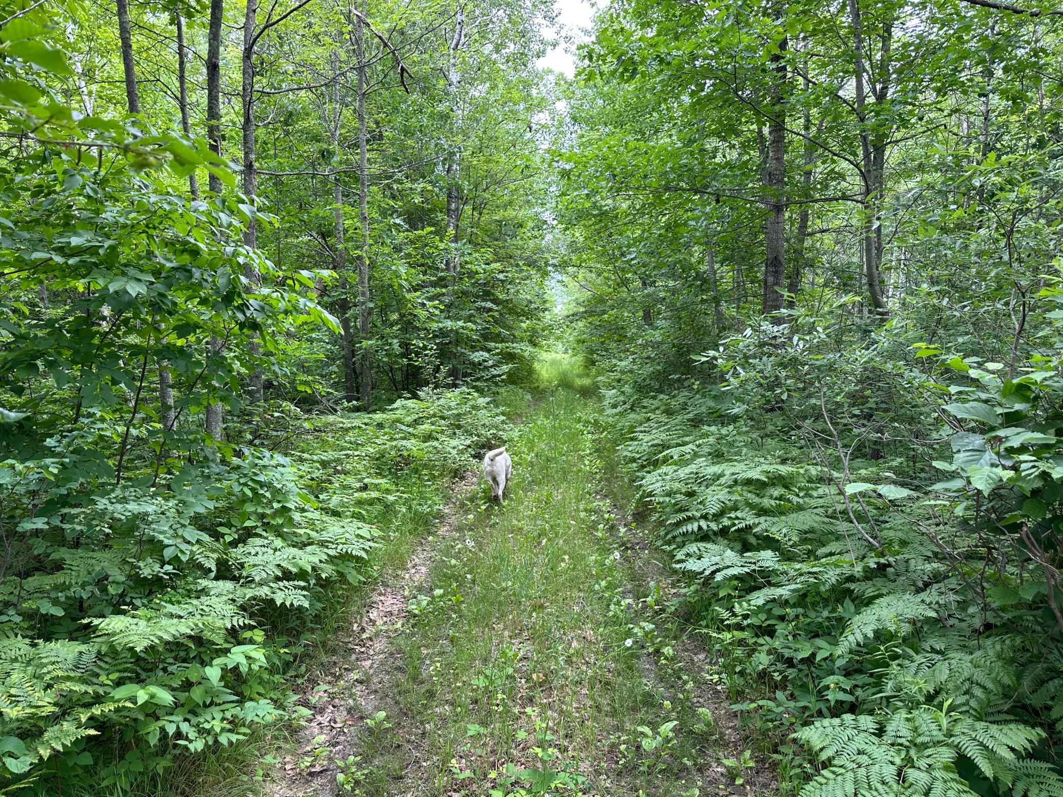 IMG_9070.JPG