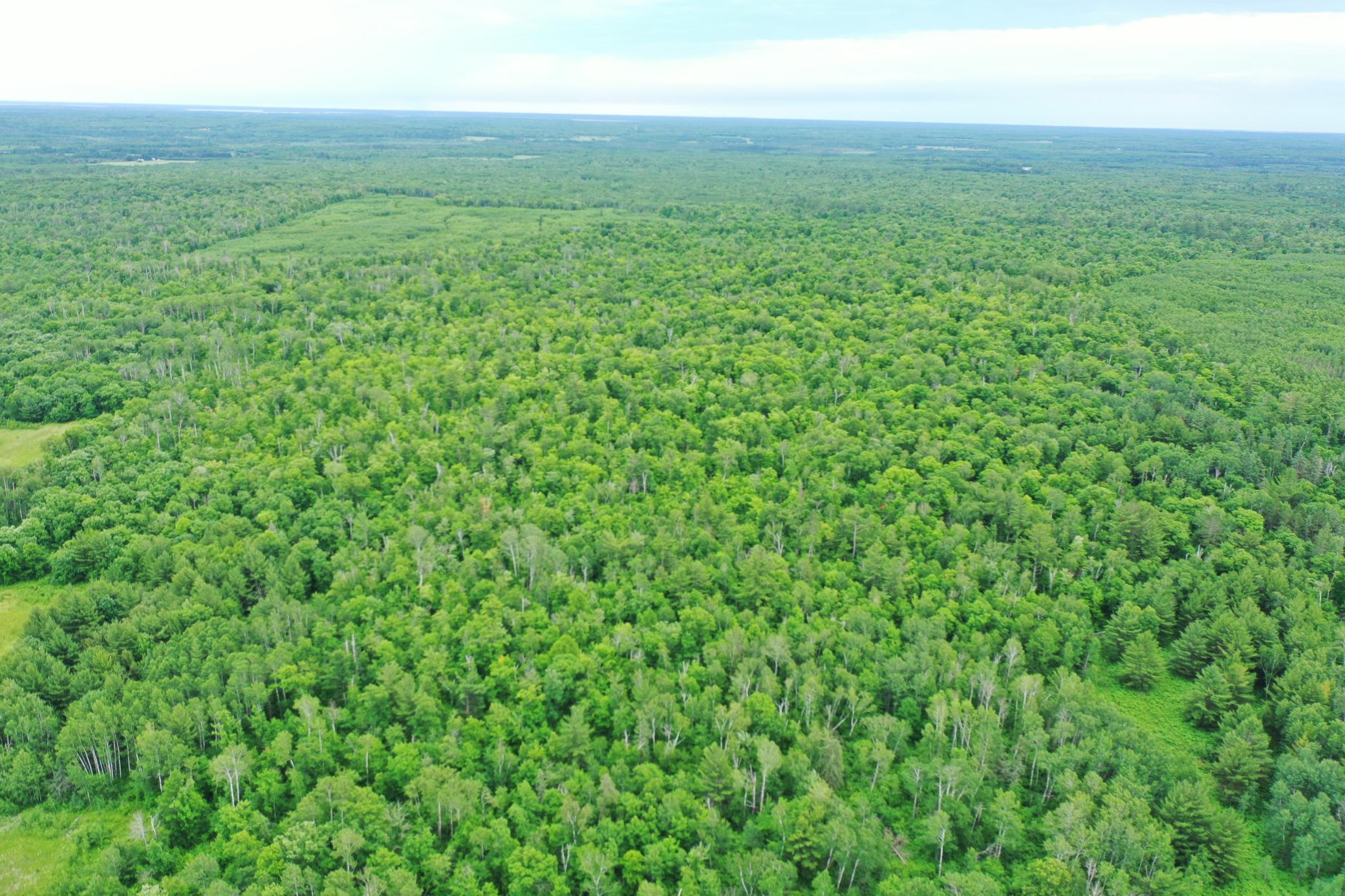 DJI_0834.JPG