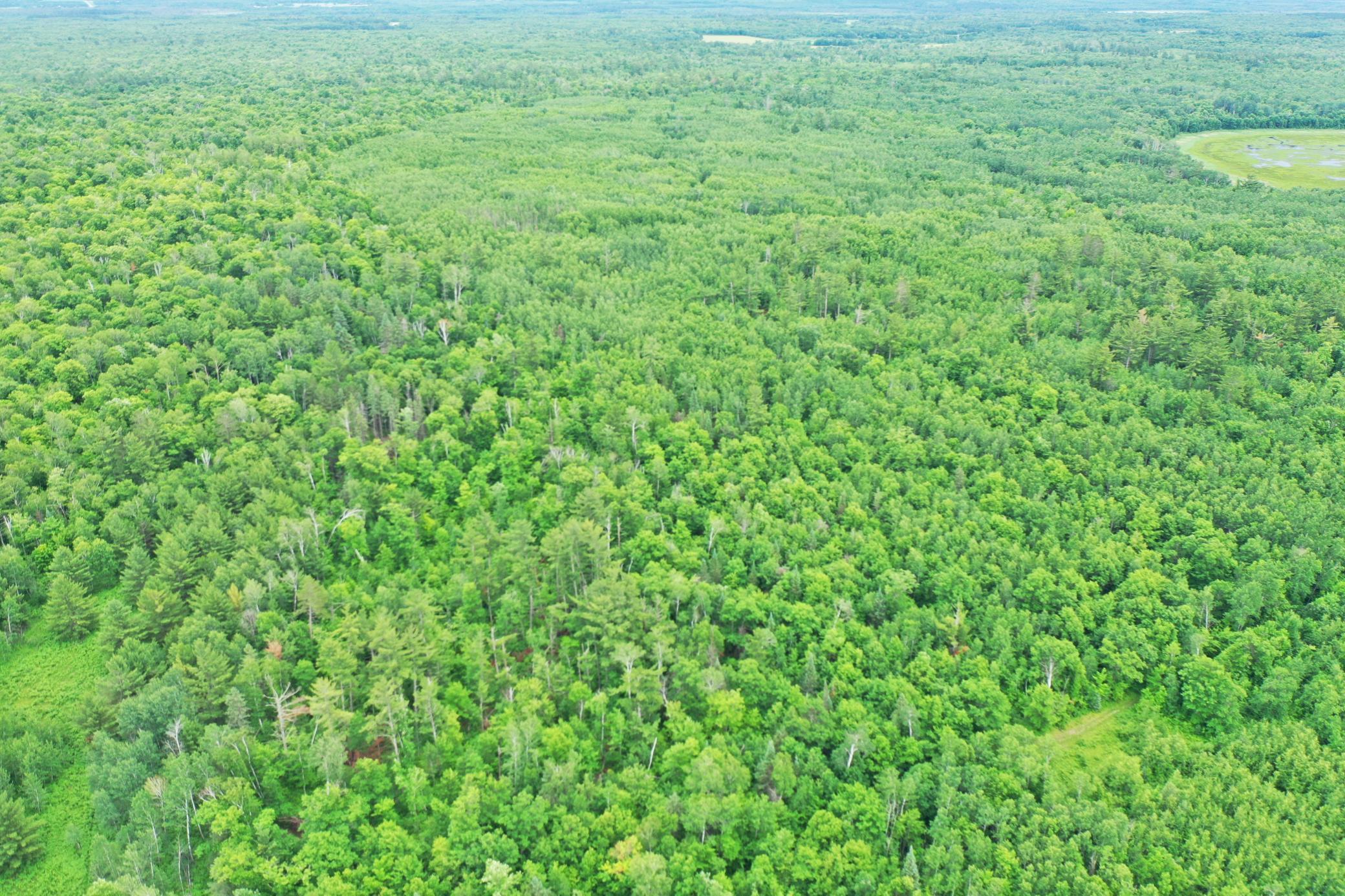 DJI_0835.JPG