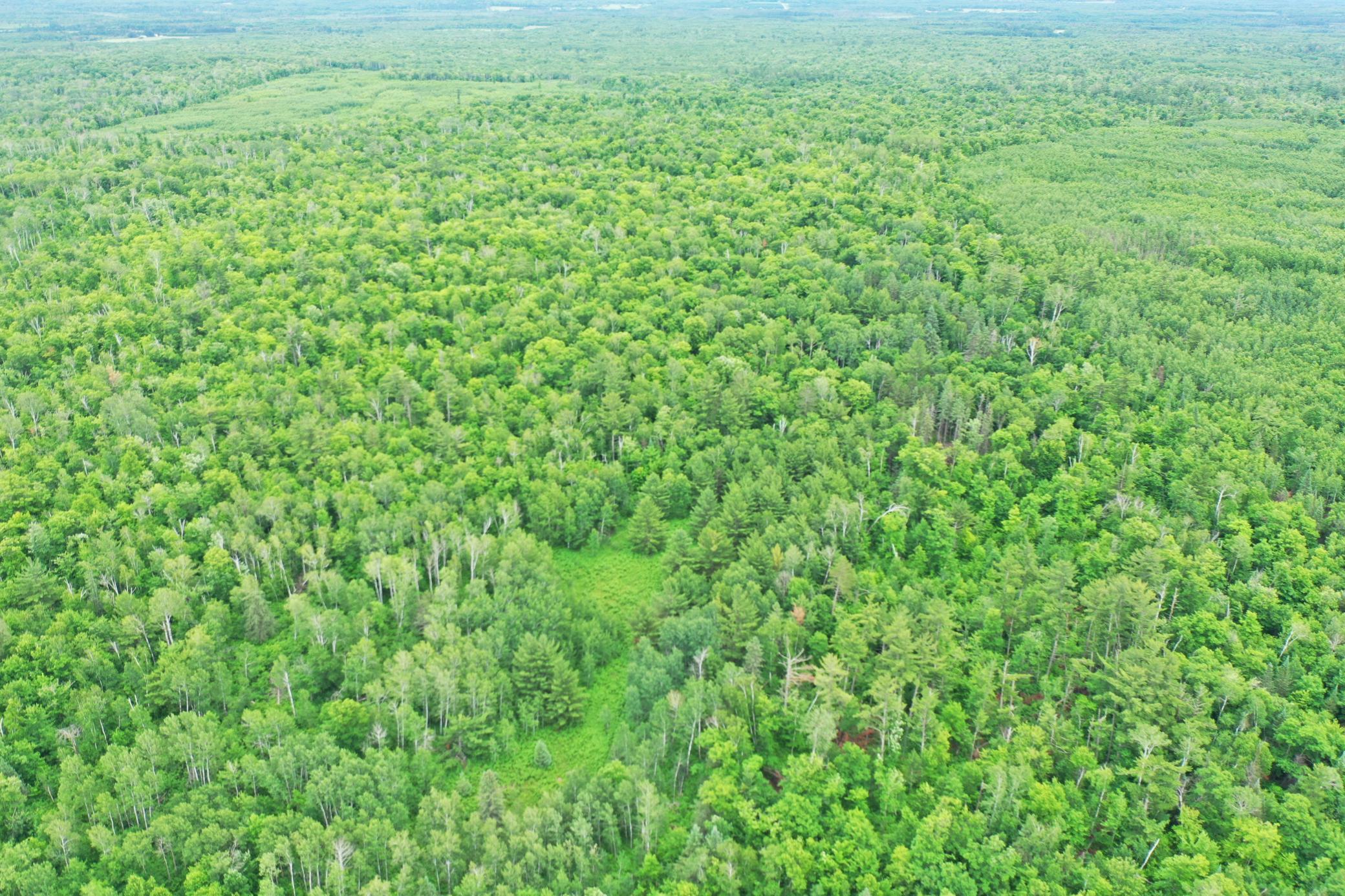DJI_0836.JPG