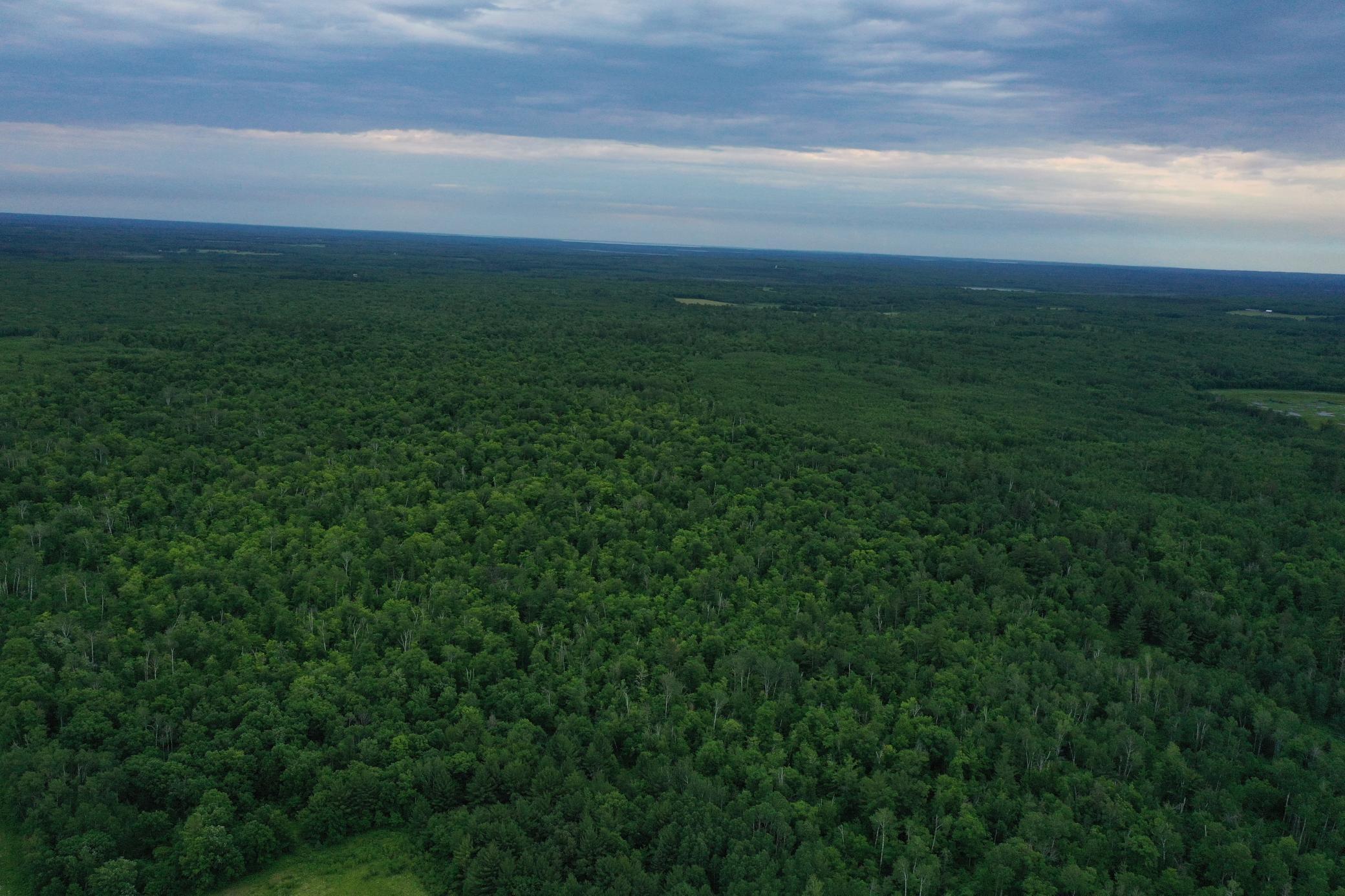 DJI_0832.JPG