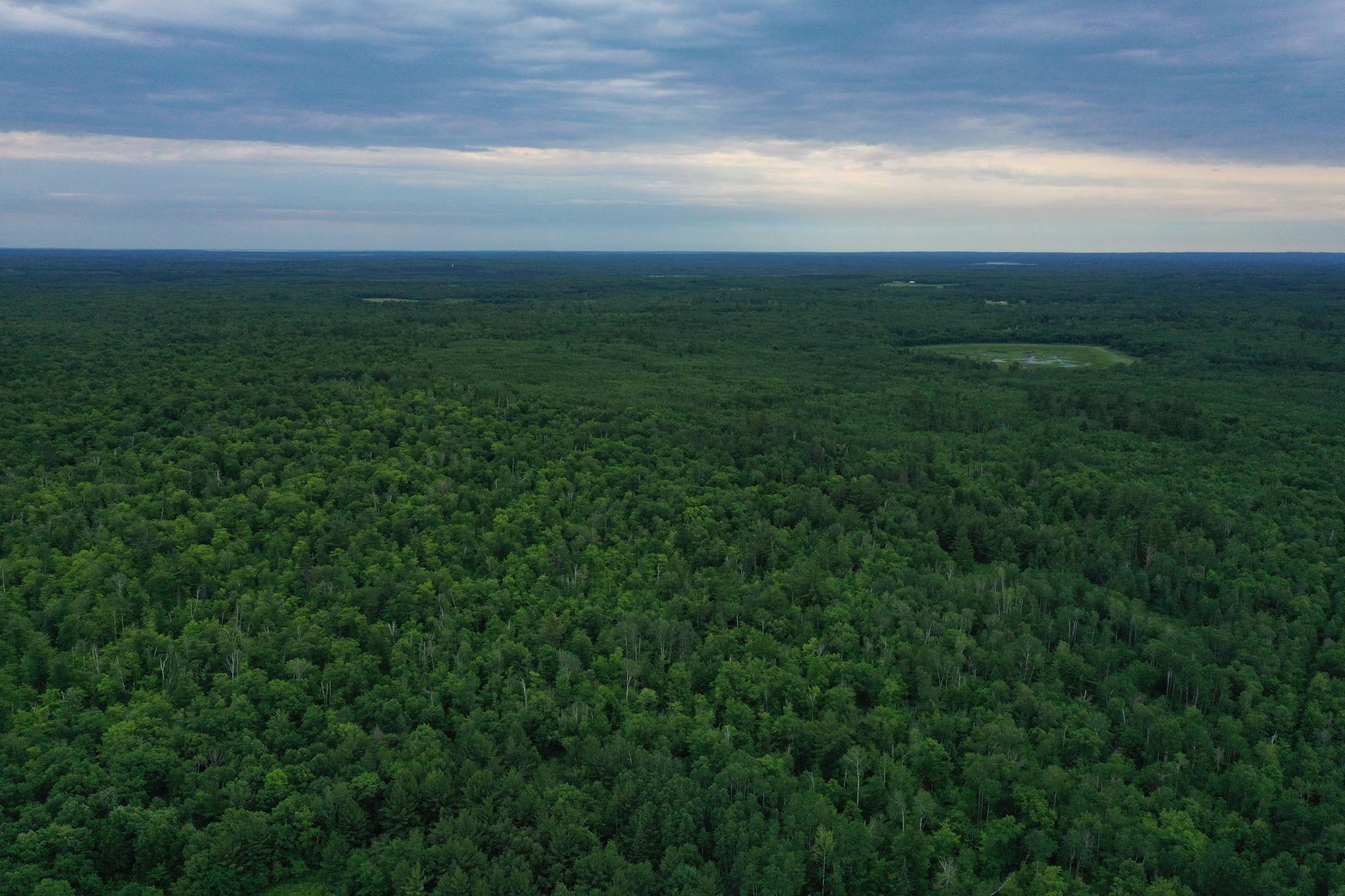 Property photo for TBD 269th Avenue, Laporte, MN 56461