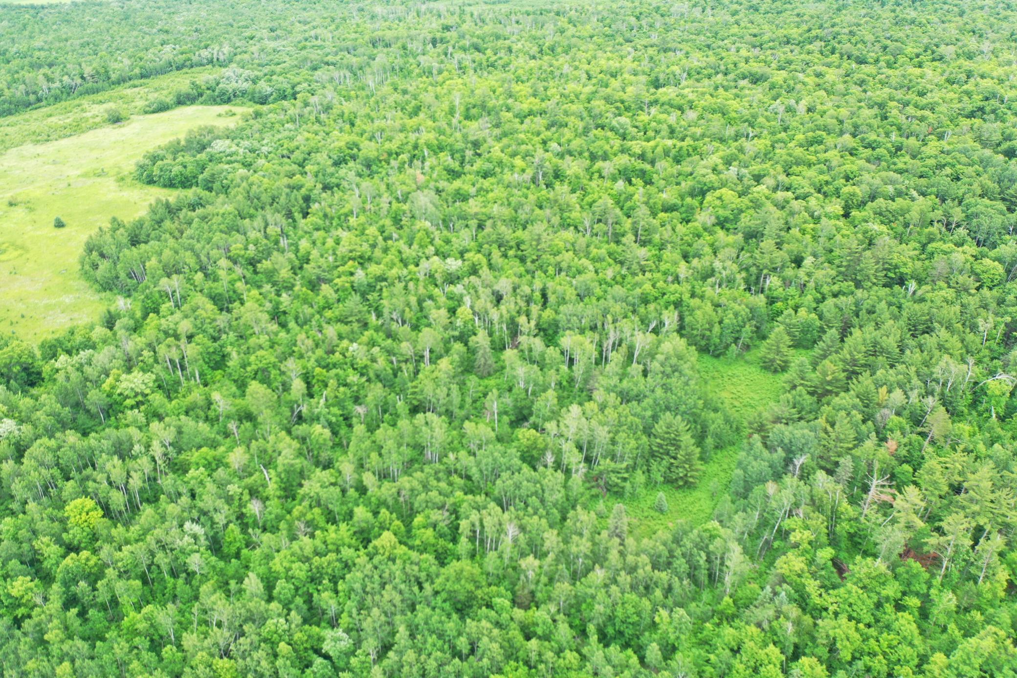 DJI_0838.JPG