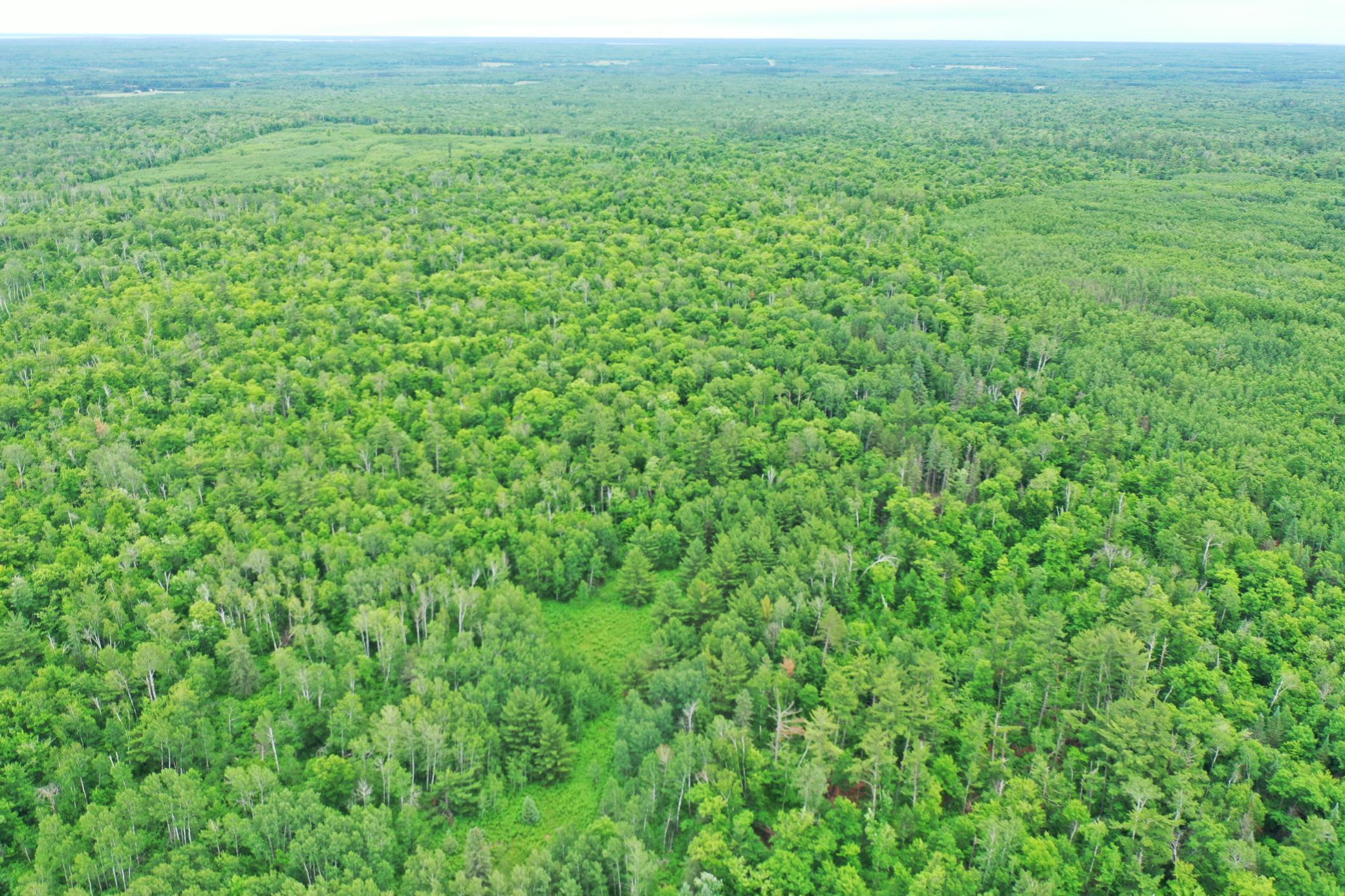 DJI_0837.JPG
