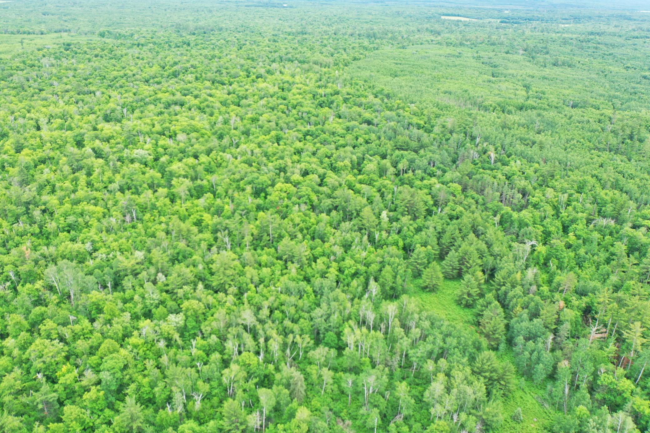 DJI_0833.JPG