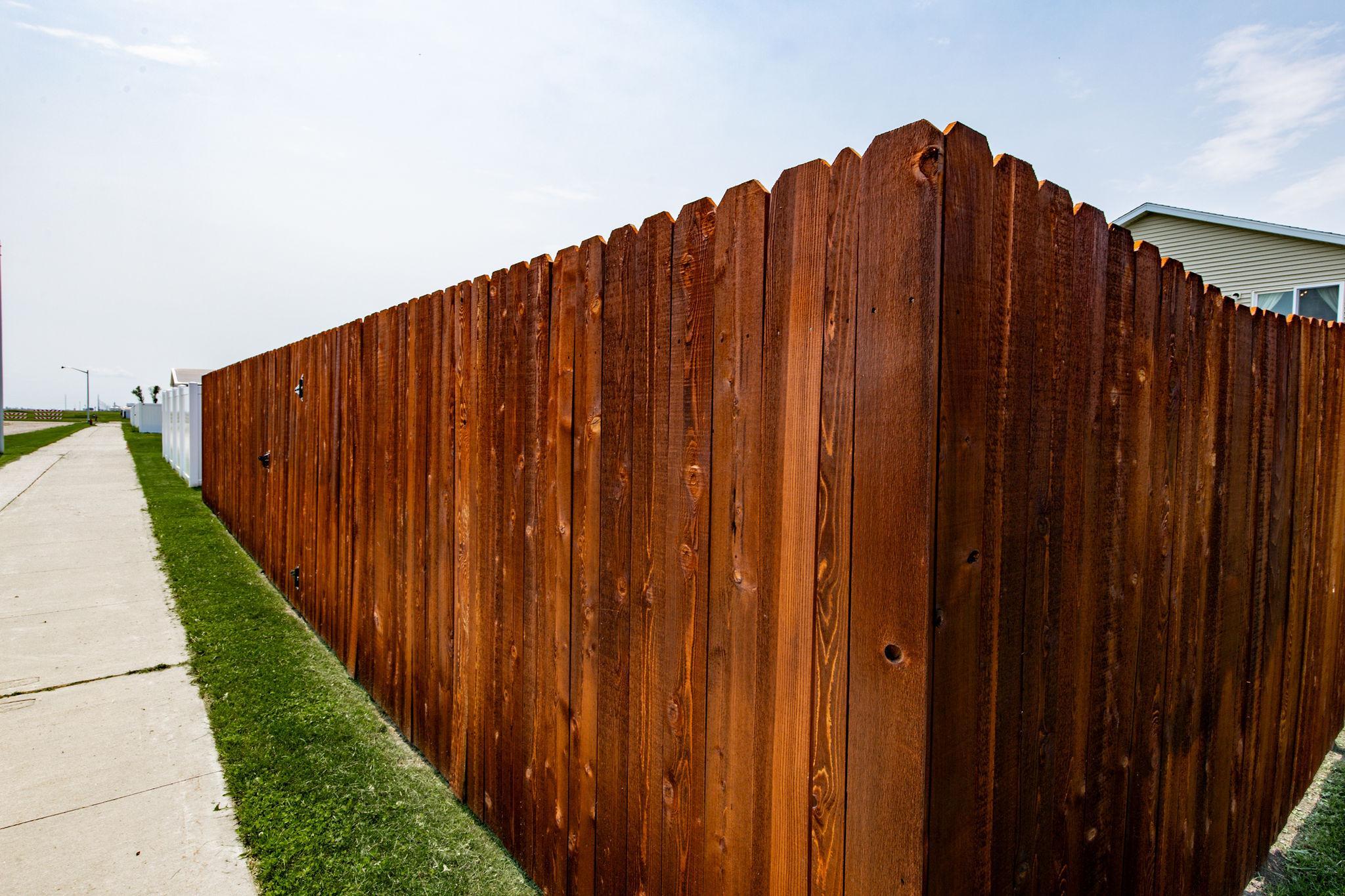 Fully Fenced- freshly stained