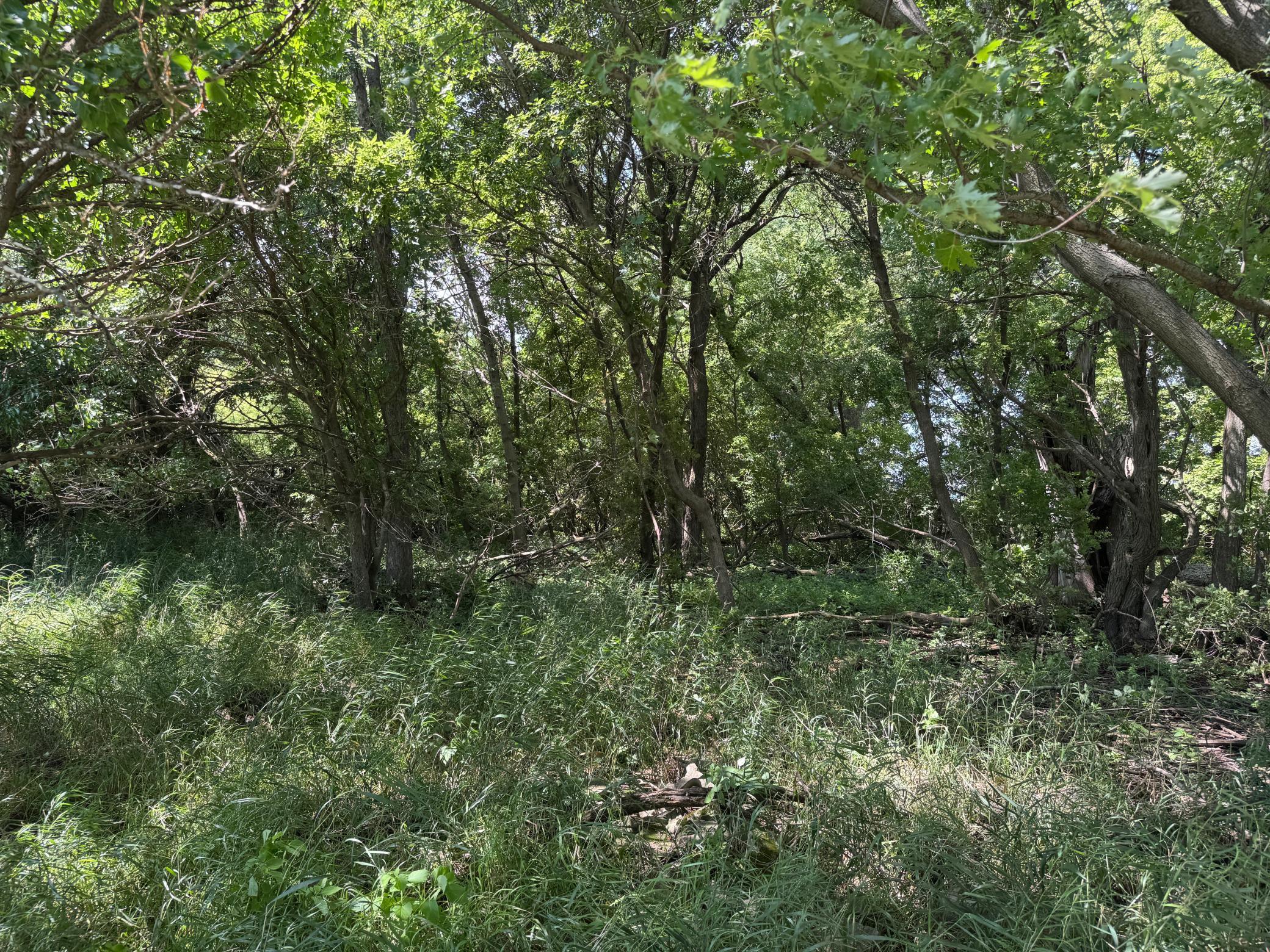 Photo 41