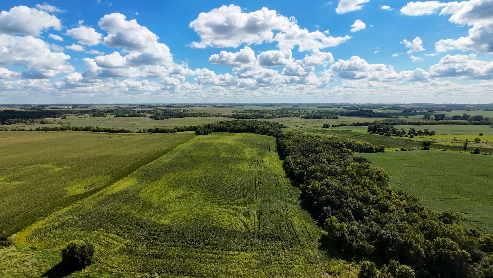 2-web-or-mls-dji_fly_20250628_183200_0266_1756304199834_photo.jpeg