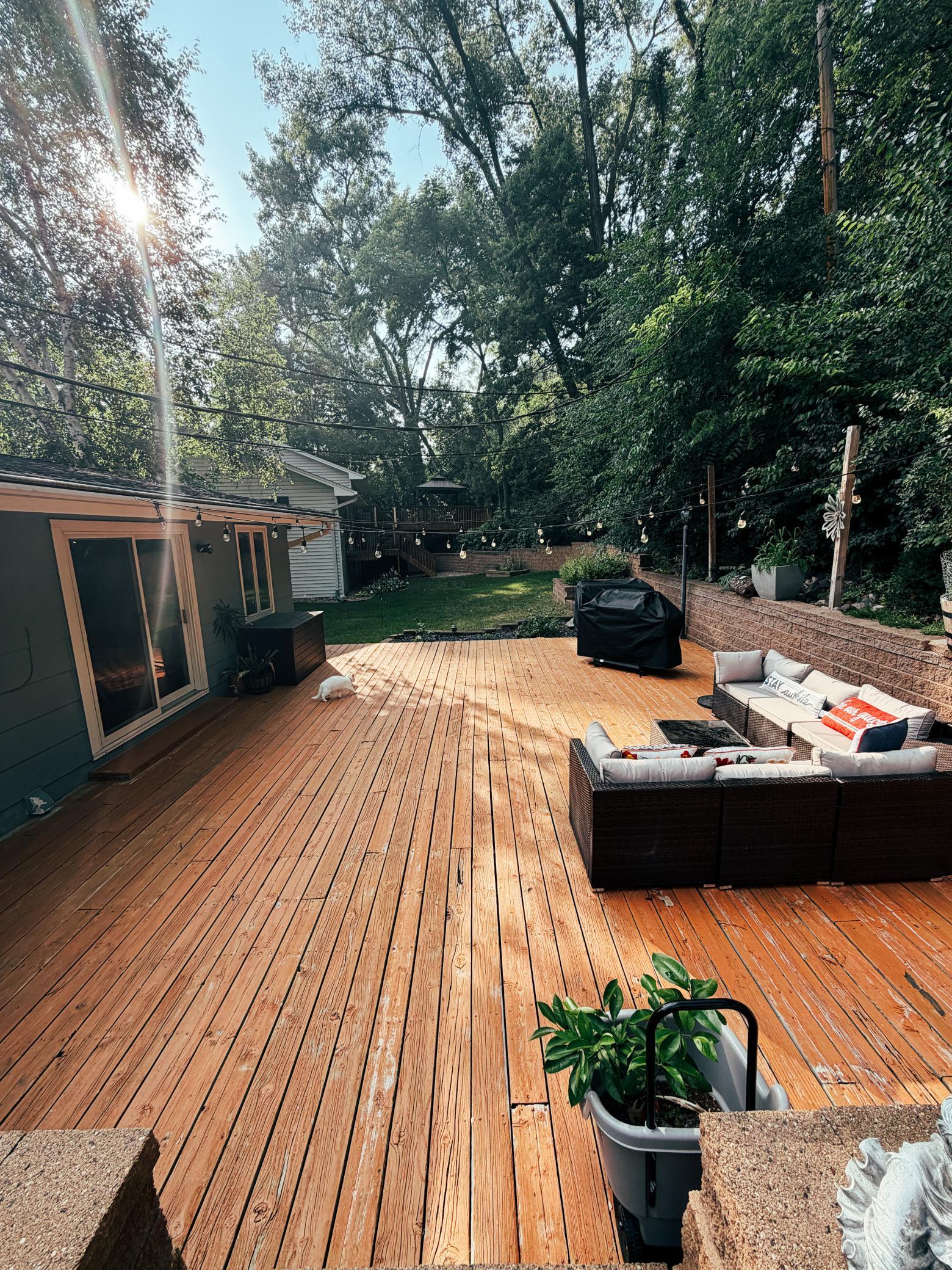 Backyard