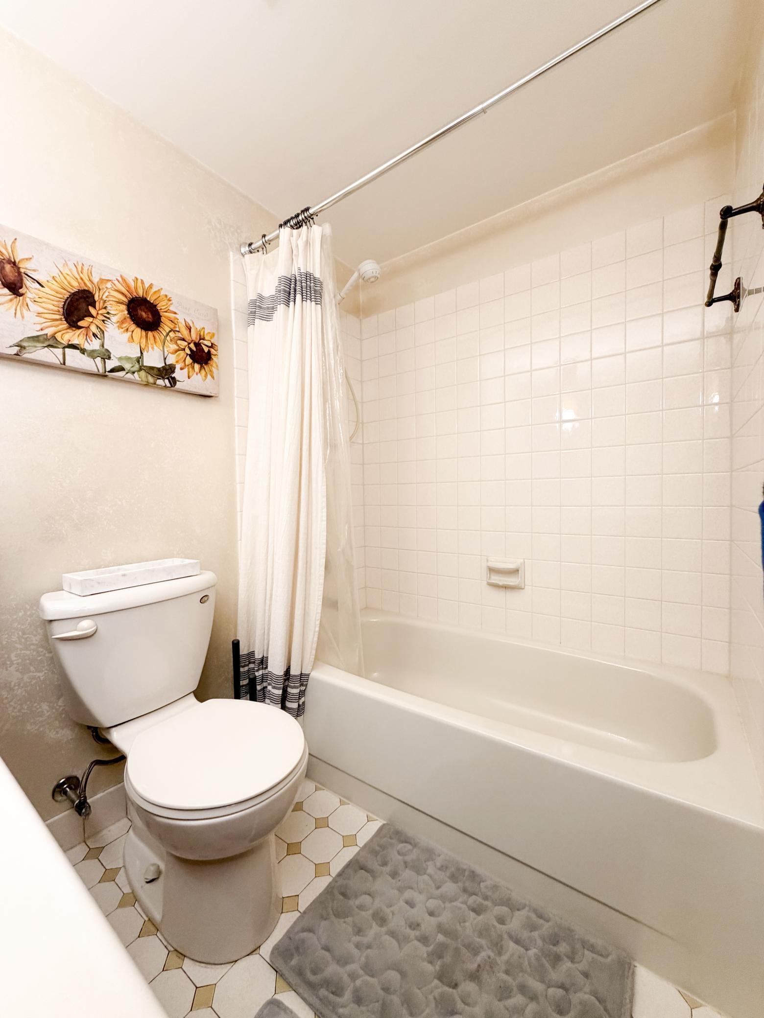 Main Full Bathroom