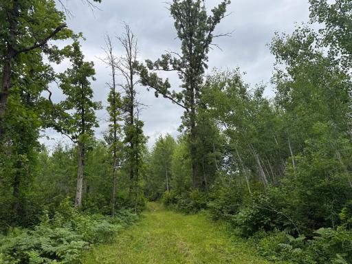 58059 Wolf Creek Road, Sandstone, MN 55072