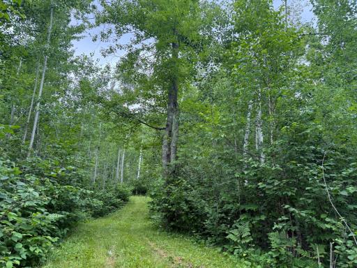 58059 Wolf Creek Road, Sandstone, MN 55072