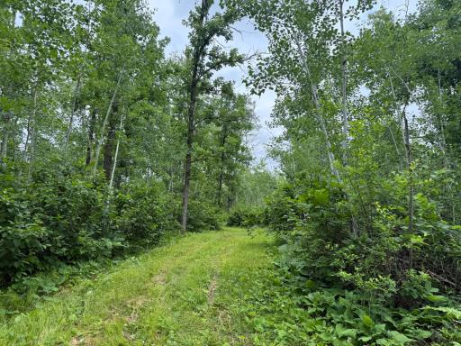 58059 Wolf Creek Road, Sandstone, MN 55072