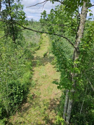 58059 Wolf Creek Road, Sandstone, MN 55072