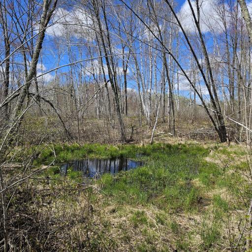 58059 Wolf Creek Road, Sandstone, MN 55072