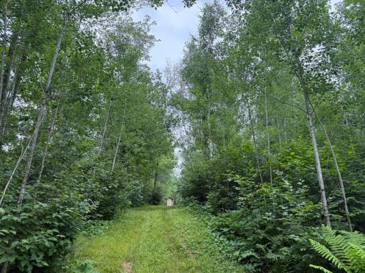 58059 Wolf Creek Road, Sandstone, MN 55072