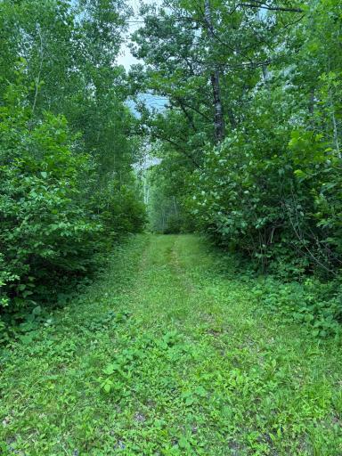 58059 Wolf Creek Road, Sandstone, MN 55072