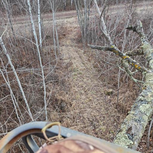 58059 Wolf Creek Road, Sandstone, MN 55072