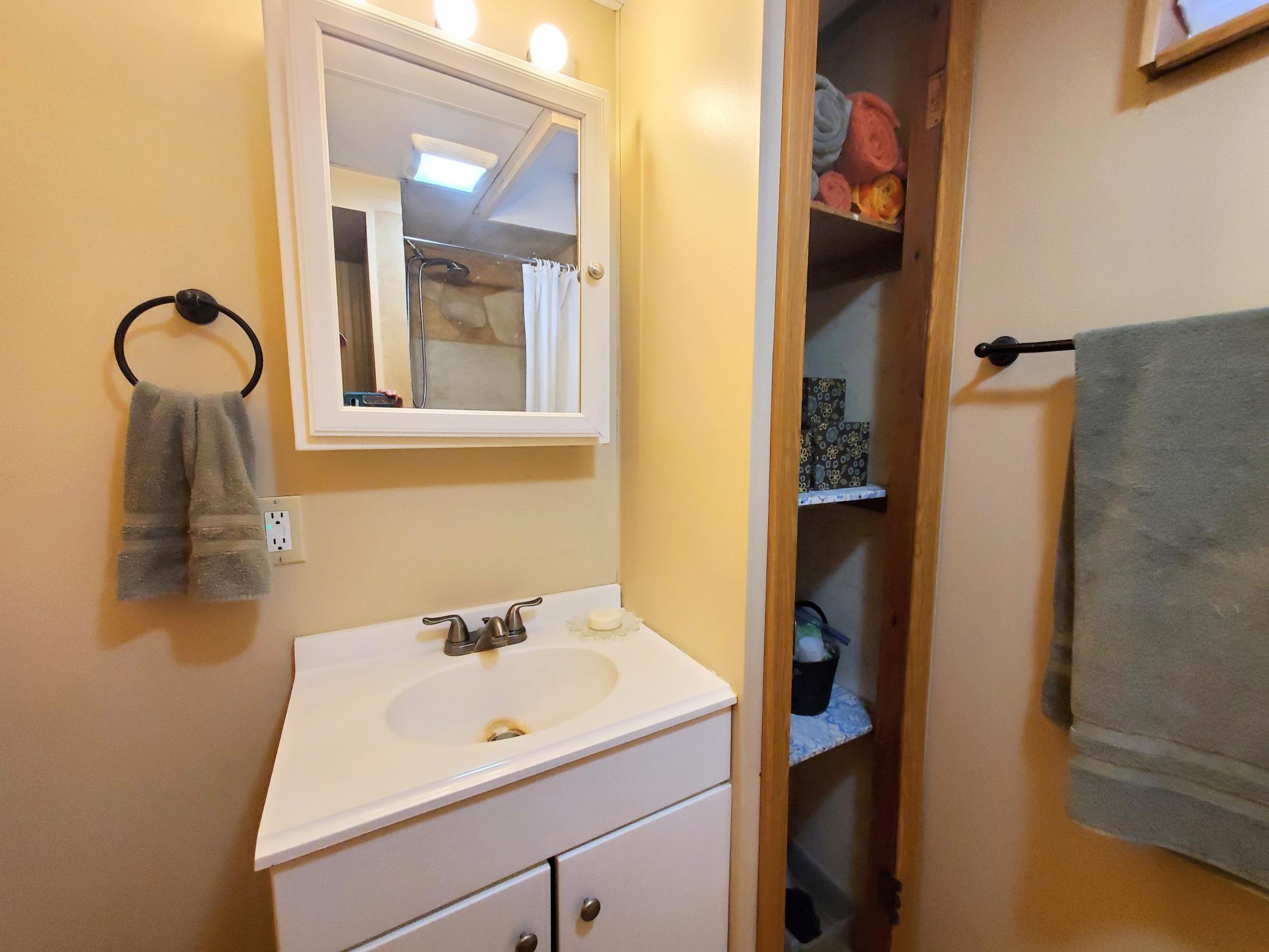 lower level bathroom