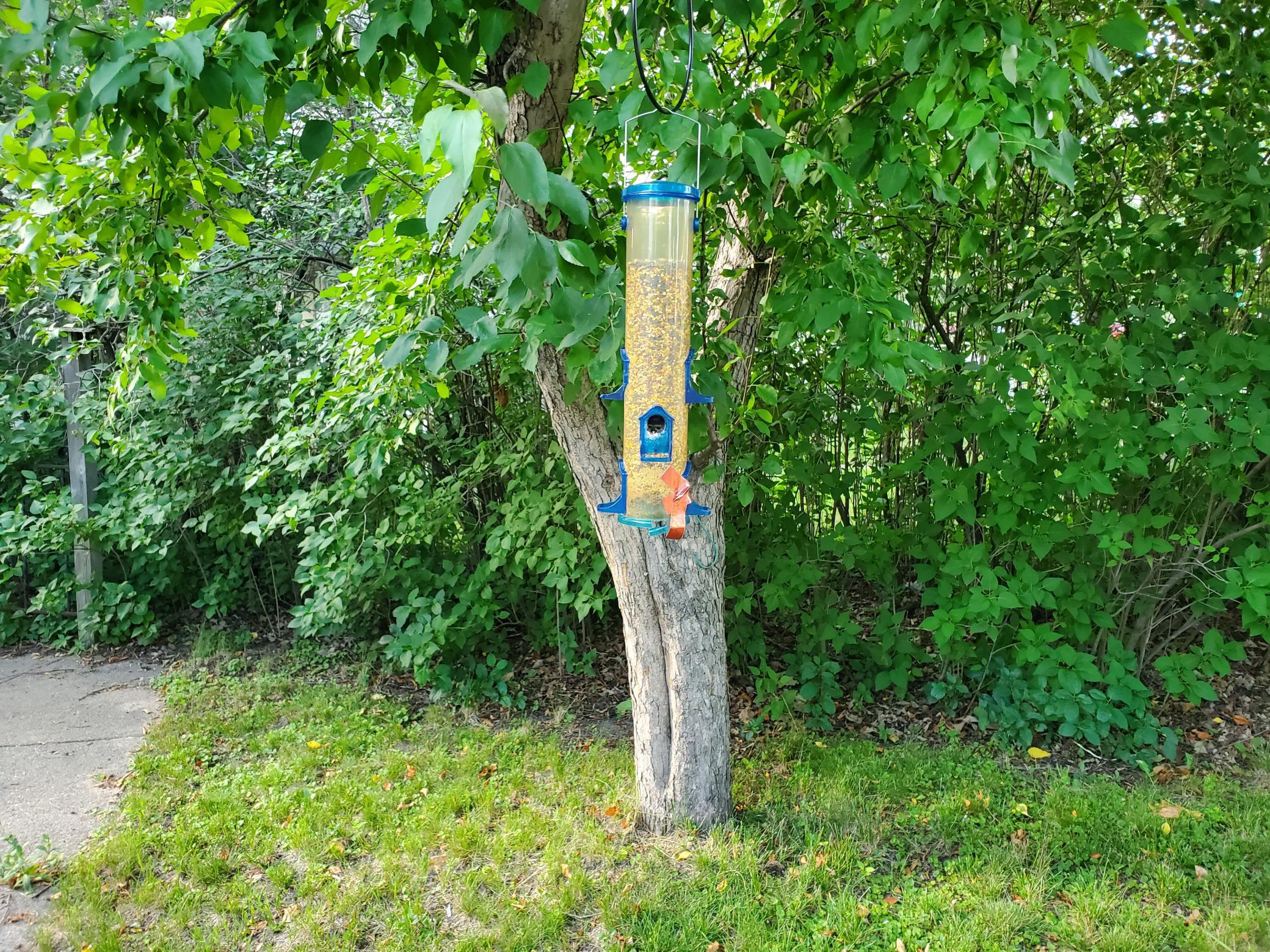 20260719_183521.jpg